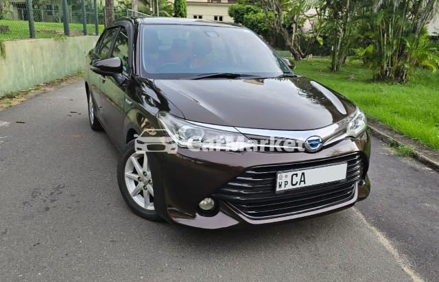 Image Toyota Axio 2016 